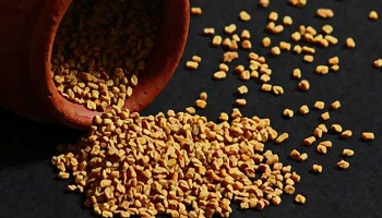 fenugreek seeds