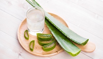 aloe vera