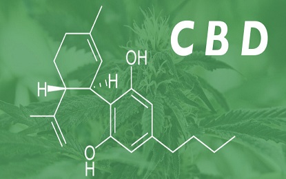CBD oil for the Prevention of Diabetes: What Is It and Does It Really Work as Medicine?