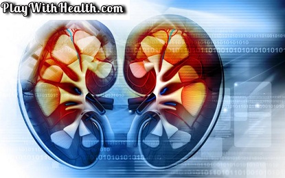 Know Different Types of Kidney Related Diseases