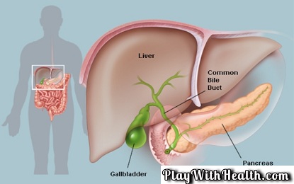 Know How Gall Bladder Stone Affects Digestion System