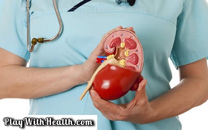 Symptoms, Causes, Remedies of Kidney Problem