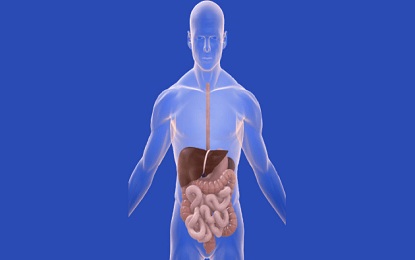 The path of your health goes through the intestine, read interesting things