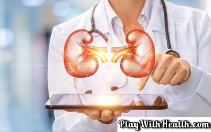Your Kidney Cancer Risk Increase Due To Your Bad Habits